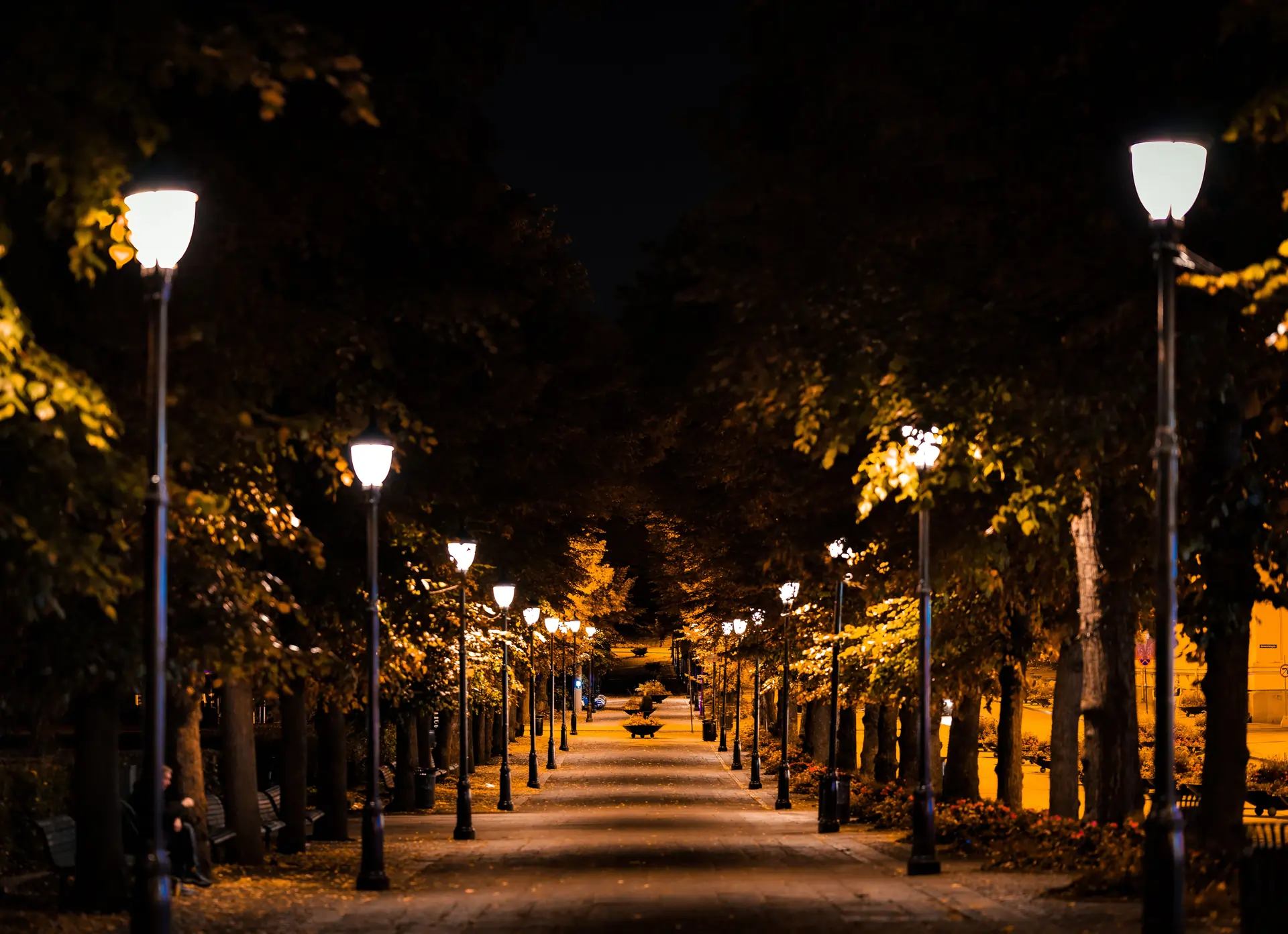 Nighttime scene of a road lined with illuminated lamp posts, creating a peaceful, well-lit pathway under the dark sky.